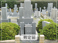 王寺霊園剪定前