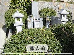 王寺霊園撤去前